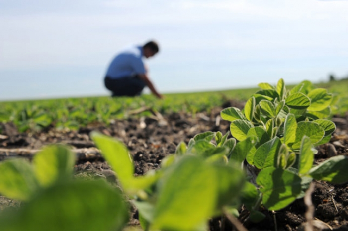 Μαγνησία: 67χρονος καλλιεργούσε στρέμματα νεκρής με πλαστό μισθωτήριο