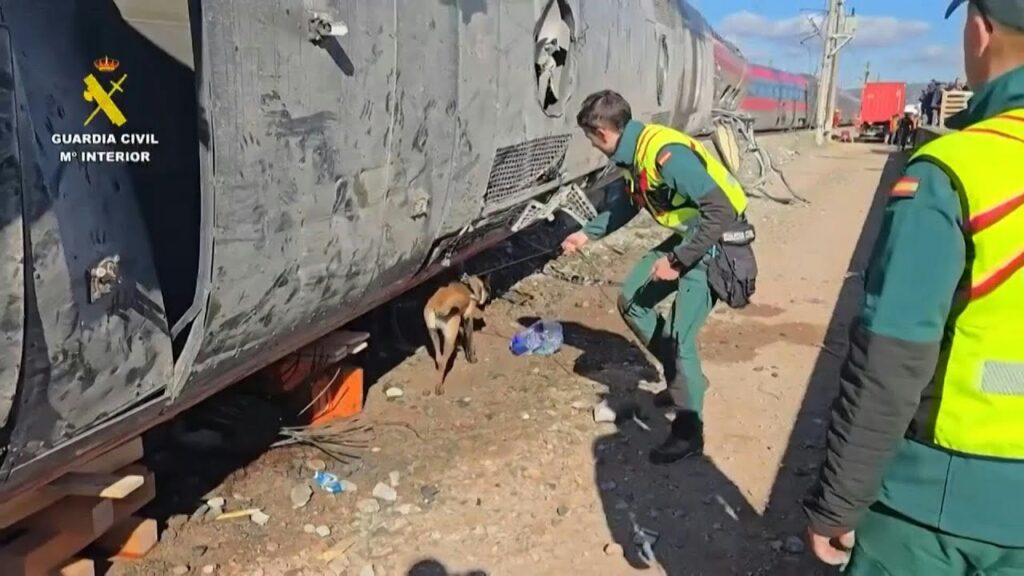 Δείτε πως ψάχνουν στα συντρίμμια των τρένων τα σκυλιά των Ισπανών και θυμηθείτε πως το Μαξίμου απαγόρευσε αντίστοιχες έρευνες στα Τέμπη