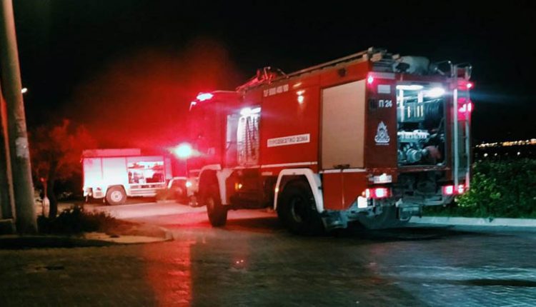 Πήλιο: Ολονύχτια μάχη της Πυροσβεστικής για την κατάσβεση φωτιάς σε παρθένο δάσος