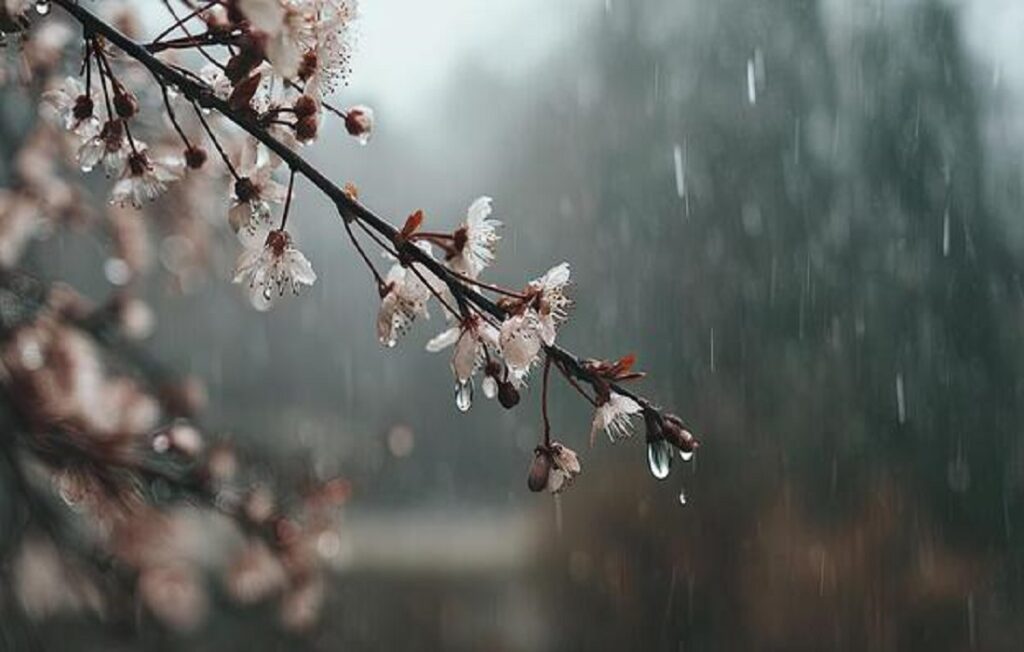 Καιρός: Ανεβαίνει η θερμοκρασία, παραμένουν οι βροχές