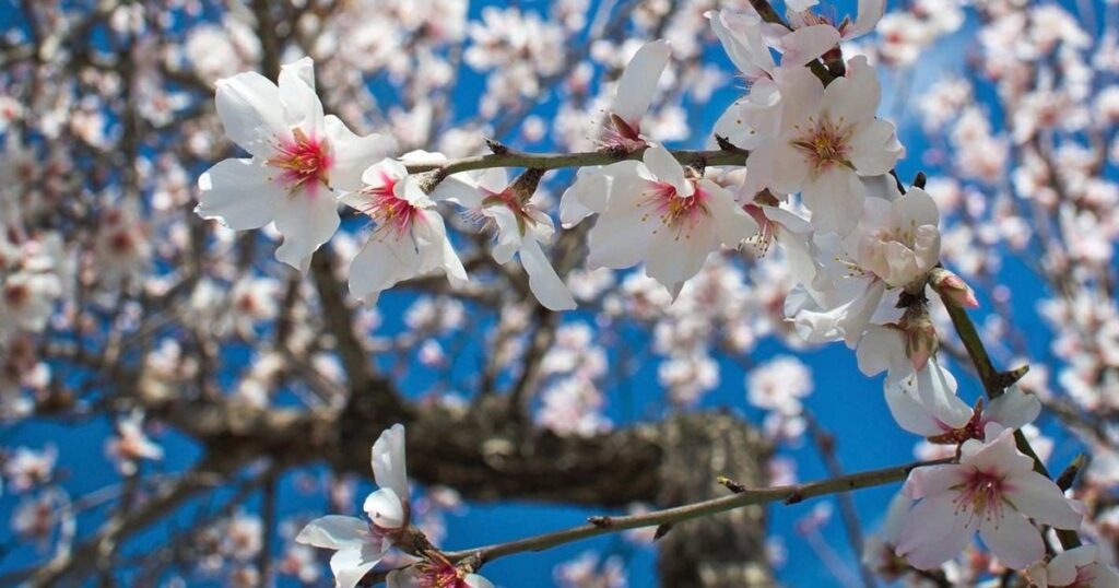 Ανοιξιάτικο το σκηνικό του καιρού