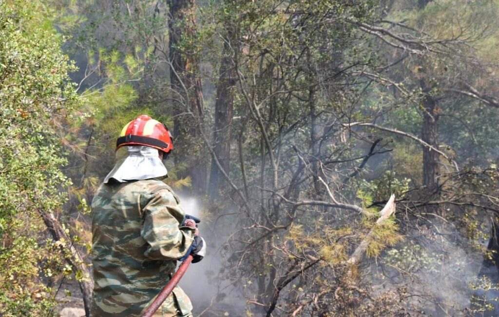 Φωτιά τώρα σε δασική έκταση στο Λέπρεο Ηλείας