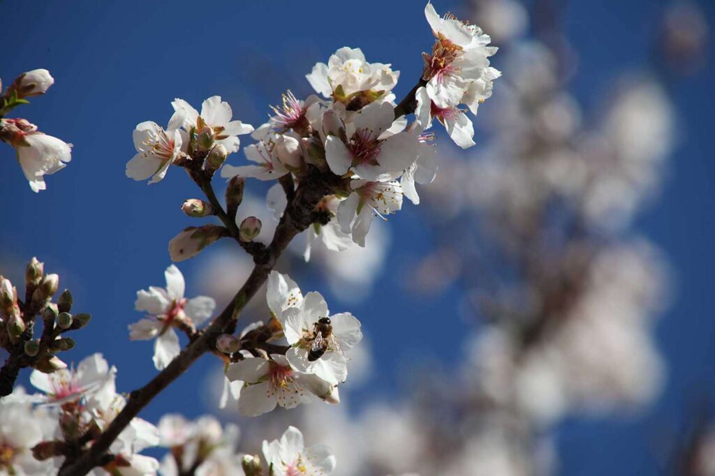 Ο καιρός σήμερα Μ. Πέμπτη