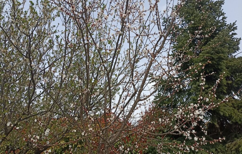 Καιρός: Ανοιξιάτικη Μεγάλη Τετάρτη