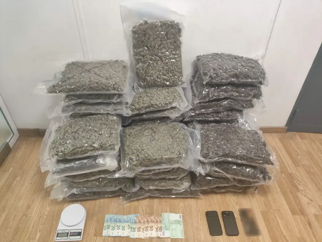 Πάνω από 41 κιλά υδροπονικής κάνναβης στα χέρια των αρχών