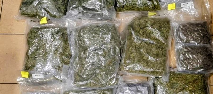 Σκιάθος: Σύλληψη 68χρονου με 13 κιλά ακατέργαστης κάνναβης – Τα παρέλαβε σε βαλίτσες από σκάφος