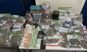 Περισσότερα από 6 κιλά ακατέργαστης κάνναβης κατασχέθηκαν μετά από έρευνα σε συνεργείο αυτοκινήτων