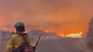 Δώδεκα νεκροί στην Ισπανία από δασική πυρκαγιά