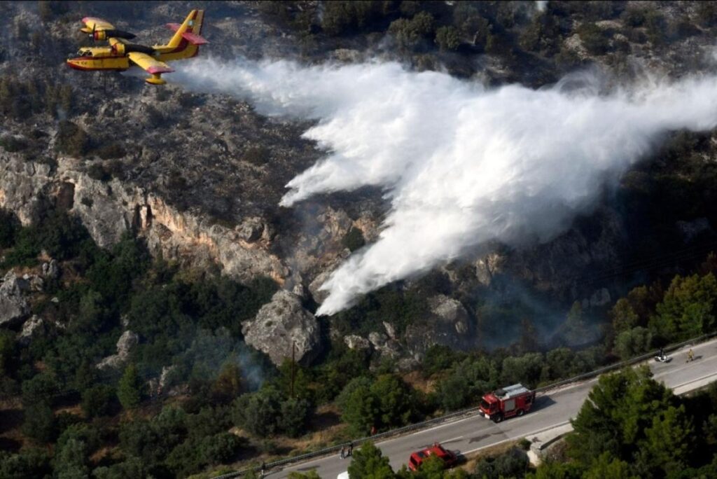 Πυρκαγιά σε δασική έκταση στην Εύβοια