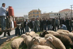 Παγκρήτια συνάντηση κτηνοτρόφων στο Ρέθυμνο και γενικές συνελεύσεις με το «βλέμμα» στο συλλαλητήριο