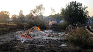 ΕΛΓΑ: Αφήνει χωρίς αποζημίωση πληγέντες αγρότες από φωτιά