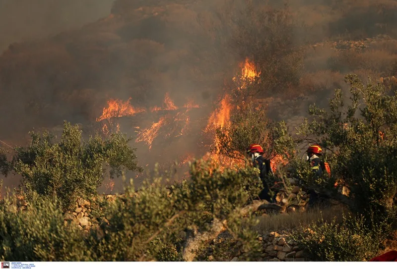Φωτιά σε δύσβατη δασική έκταση στην περιοχή Παλαμπάς Θεσπρωτίας