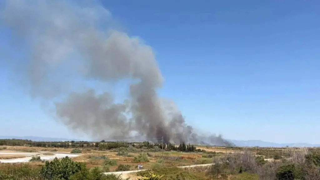 Φωτιά σε χαμηλή βλάστηση στη Ροδόπη