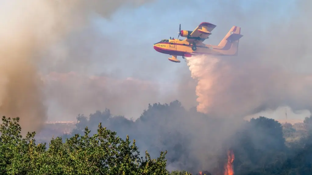 Πυρκαγιά σε δασική έκταση στο Κόμιτο Καρύστου