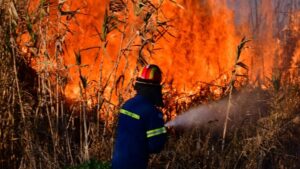 Πύρινος εφιάλτης στη Βοιωτία – Επιχειρούν 625 πυροσβέστες