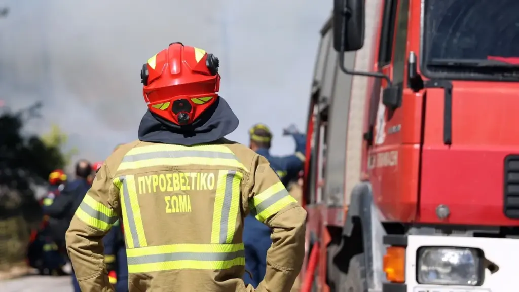 Φωτιά σε δασική έκταση στο Ελαιοχώρι Καβάλας