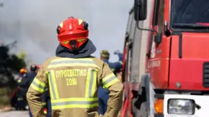Φωτιά σε δασική έκταση στο Ελαιοχώρι Καβάλας