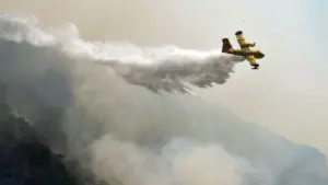 Φωτιά σε αγροτοδασική έκταση στη Χαλκιδική