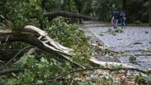 Καλαμαριά: Δέντρο έπεσε πάνω σε μητέρα και το 17 μηνών μωρό της σε παιδική χαρά